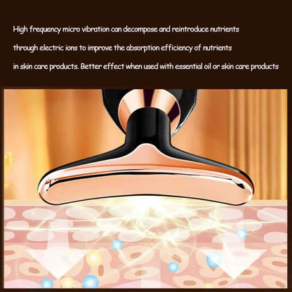 3-in-1 Face Massager Microcurrent Anti-Aging Beauty Device for Skin