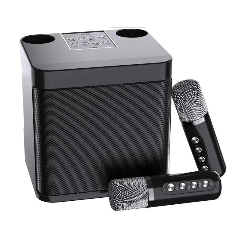 Portable Karaoke Bluetooth Speaker